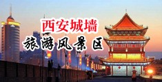 农村透板机视频中国陕西-西安城墙旅游风景区