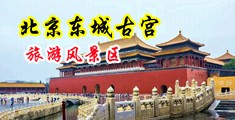 少妇72p中国北京-东城古宫旅游风景区